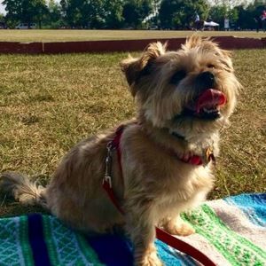 Meet your Posher, Eleni